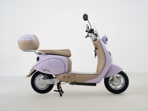 Scooter Eléctrico Potente y Económico de 1000W para el Mercado Brasileño, Motocicleta Urbana con Batería de Litio de 48V20AH - Product Image 2
