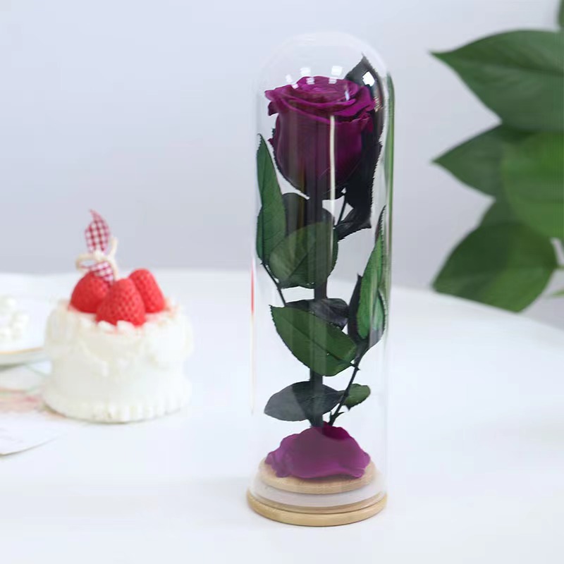 Pourpre