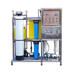 Kleine Kapazität 250LPH Meerwasser entsalzung ro Systeme Aufbereitung maschinen Pflanzen wasser filtration