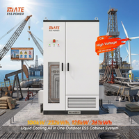 Système de Stockage d'Énergie Intelligent MATE à Refroidissement Liquide 100kW 125KW avec Onduleur PCS et Batterie au Lithium 232KWH 261KWH pour Armoire Extérieure ESS