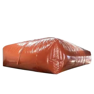 Ensemble complet de digesteur de biogaz pour porcherie, fumier domestique, boue rouge, sac de stockage de gaz pour broyeur de déchets alimentaires - Product Image 1