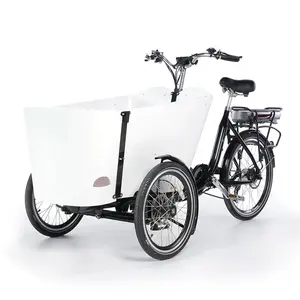 Três rodas triciclo elétrico com telhado para adulto Pink Max Black Green Silver Body Motor Lithium Battery