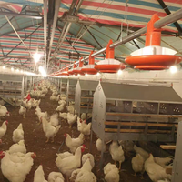Poules en métal nichoirs Collection équipement d'élevage de volaille ponte 24 trous nid d'oeufs de poulet boîte manuelle