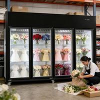 Réfrigérateur transparent de 900 L pour la conservation et la présentation des fleurs pour fleuriste - Armoire commerciale sans drainage