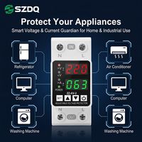 Protecteur de surtension et de sous-tension réglable 40/60A 220V AC 2P à réconnexion automatique certifié CE