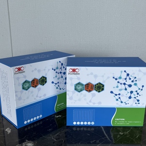Kit de recherche ELISA pour le Facteur de <span class=keywords><strong>Nécrose</strong></span> <span class=keywords><strong>Tumorale</strong></span> (FNT) de la Famille Superfamiliale 4 (TNFSF4) de la souris - Product Image 3