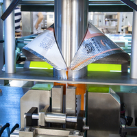 Machine à emballer de sachets préfabriqués remplissante automatique durable de jus liquide Machine à emballer de sacs