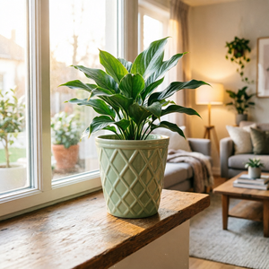 กระถางดอกไม้เซรามิคลายนูนรูปพีชและเพชร<span class=keywords><strong>สี</strong></span>เขียว ขายดีในปี 2026 จากโรงงานโดยตรง สำหรับตกแต่งภายในและภายนอกอาคาร ระเบียง สำนักงาน - Product Image 4