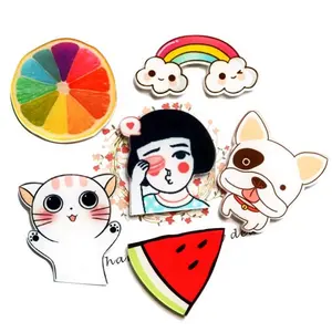 Cute Kitten Kat Puppy Hond Dier Fruit Regenboog Acryl Koelkast Magneet