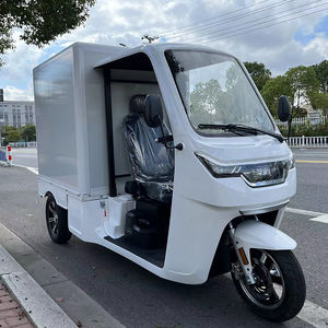 Certificat CEE Tricycle électrique 3000W avec batterie au plomb 60v 100AH vitesse maximale 45 km/h Tricycle électrique sur route - Product Image 1