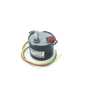 Bringsmart 50KTYZ 24V AC senkron Motor CW/CCW Mini dişli Motor 2.5rpm 30rpm 50rpm yavaş hız düşürücü kalıcı mıknatıs motorlar