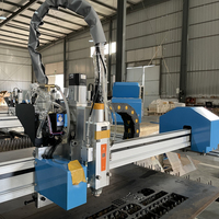 Machine de découpe laser à fibre portative économique avec composants HIWIN, CNC haute puissance pour la découpe de métaux, faible coût pour les petites productions