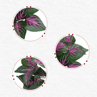 Bouquet de feuilles de coleus artificielles en plastique, variété rose veinée, fausse verdure durable, haute simulation, pour arrangements floraux de mariage
