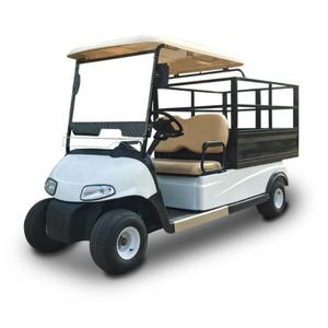 Voiture de golf électrique d'aéroport, camionnette électrique, 24V 48V 60V, meilleure qualité, voitures électriques petites et à faible vitesse - Product Image 4