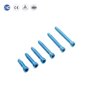 สกรูล็อคไทเทเนียมสำหรับสัตว์ ขนาด 2.4 มม. คุณภาพสูงจาก XC MEDICO สำหรับการผ่าตัดกระดูกสัตว์ แผ่นยึดกระดูกสำหรับการรักษาบาดเจ็บ - Product Image 2