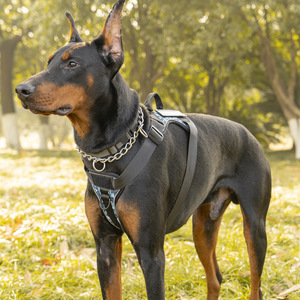 Grosir harnes anjing tugas berat tidak tarik Premium awet p-tali timbal latihan untuk anjing agresif besar hewan peliharaan Premium - Product Image 3