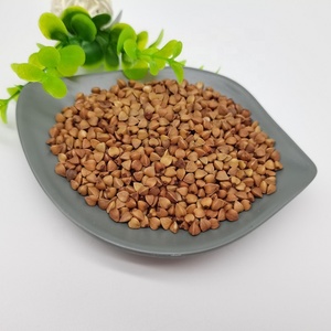 Neue Ernte Süß gerösteter Buchweizen China Herkunft Typ Weizen getrockneter Ort Modell Anbau prozess Abgelegte Zertifizierung - Product Image 3