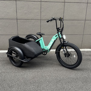 Idecar-idecar en edelec, 250W, 500W - Product Image 3