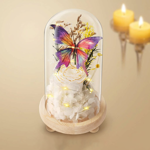 Luce Notturna a Forma di Rosa Eterna con Farfalla e Copertura <span class=keywords><strong>in</strong></span> Vetro, Ornamento Decorativo LED Creativo per Matrimoni e Compleanni - Product Image 4