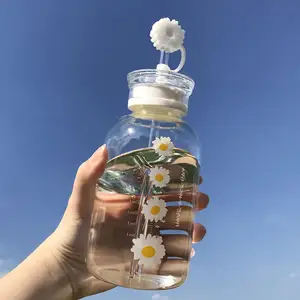 Glass Water Bottle with Straw Creative Daisy Frosted/Transparent Cup Leakproof Portable Drinking Bottle with a Sealing Lid