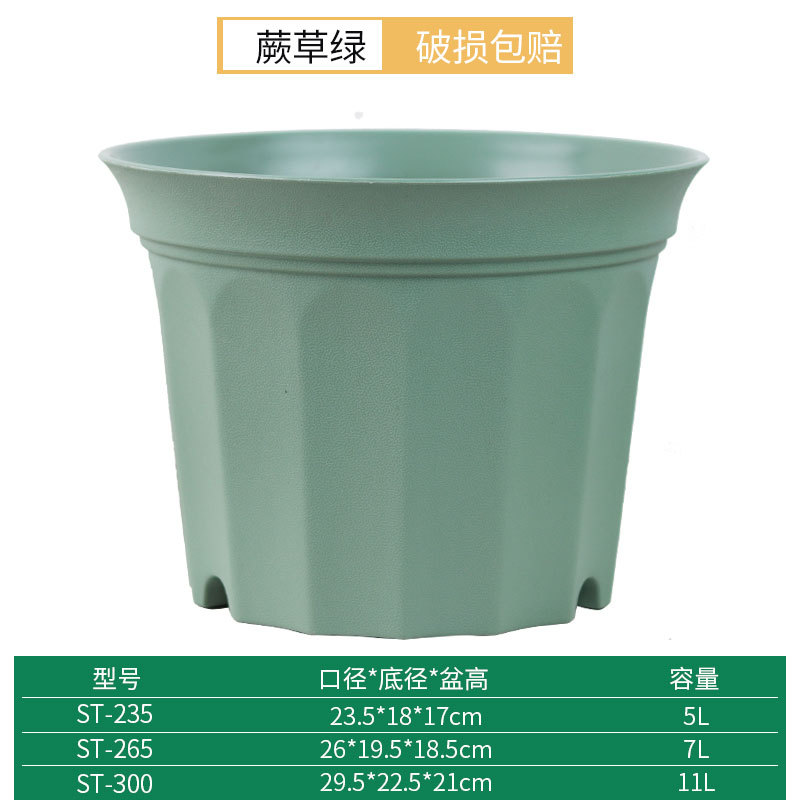 Helecho hierba verde olla individual