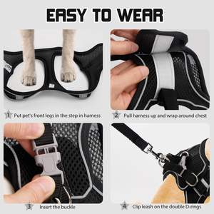 Conjunto de Arnés y Correa para Gatos, Arnés Antiescape para Gatitos, Arnés Transpirable para Perros Pequeños, Correa para Pasear Mascotas, Accesorios para Gatos - Product Image 5