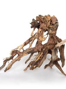 Bois flotté d'aquarium brésilien, mousse, fait à la main, naturel, fin, aménagement paysager d'aquarium, bonsaï avec système de racines de pin - Product Image 4
