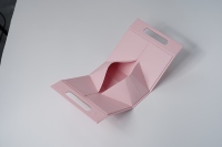 Sofort Lieferbar Individuell Bedruckte Geschenkbox mit Schwammfutter Tragbare Faltbare Papier-Geschenkbox mit Griff Zusammenklappbare Umweltfreundliche Verpackung für Kosmetik