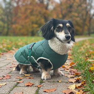 Quilted Cotton Polyester Sherpa-lined Simple Pet Coat Taiwan Made Eco-Friendly Solid L Size Cold Weather Small Dog - Product Image 2