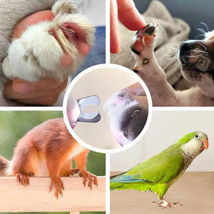 Wholesale LED Light Dog Nail Cutter Professional Pet Claw Trimmer with Safety Lock Puppy Kitten Animals Care Grooming <b>Tool</b> <b>Kit</b> - Product Image 6