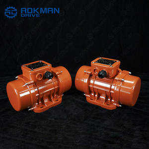 Motor de vibración eléctrica serie MVE de alta calidad para trituradora para aplicaciones de vibración de hormigón - Product Image 5