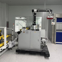 Robot Paletizador Automático Cobot con Brazo y Pinza para Cajas, Cartones, Latas y Papel, Paletizador Robótico de Alta Productividad para Cajas de 20 kg