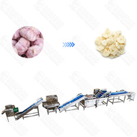 Ligne de production de poudre d'ail déshydratée