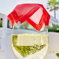 Lot de 4 couvercles lestés réutilisables en gaze pour verres à vin d'extérieur, en fibre de polyester, style européen et américain