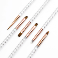Offre Spéciale professionnel de luxe Uv Ombre plat ovale doublure inclinée Nail Art Gel ensembles de pinceaux poignée en acrylique transparent Logo personnalisé pour plus de détails