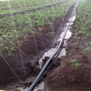 Sistema de Riego Agrícola <span class=keywords><strong>Pandora</strong></span> CF01162020 de Plástico Resistente a la Corrosión, Ahorro de Agua, Gran Venta <span class=keywords><strong>2023</strong></span> - Product Image 1