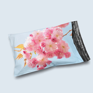 ฉีกขาดกันน้ำไม่มีกลิ่น Mailer Courier POLY - Product Image 3