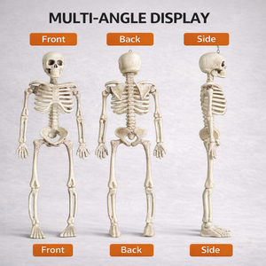 Mini Scheletro in Plastica per Decorazioni <span class=keywords><strong>di</strong></span> <span class=keywords><strong>Halloween</strong></span>, Modello Realistico <span class=keywords><strong>di</strong></span> Teschio <span class=keywords><strong>da</strong></span> 15cm per Appendere, Decorazioni per Feste, Accessori Didattici - Product Image 2