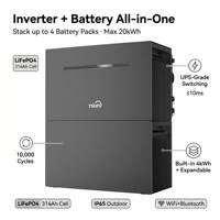Système de stockage d'énergie domestique tout-en-un TSUN TSOL-B4000Lite, batterie LiFePO4 empilable 300Ah 51.2V 2-10kW, hybride réseau IP65 4-20kWh