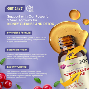 Gouttes de nettoyage des reins et du <span class=keywords><strong>foie</strong></span> 60 ml, extrait de canneberge, d'astragale et de chardon-marie, soutien à la santé des organes, source d'usine, vente en gros, OEM - Product Image 4