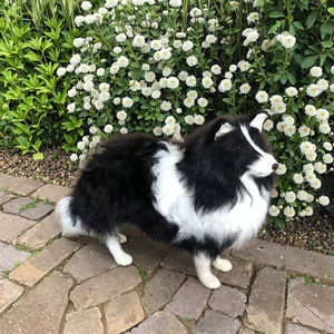 עבודת יד גדולה גבול גודל גדול collie גור קישוט lifke fraft felike fraft felike - Product Image 1