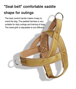 <span class=keywords><strong>Harnais</strong></span> <span class=keywords><strong>pour</strong></span> <span class=keywords><strong>chien</strong></span> <span class=keywords><strong>de</strong></span> petite et grande taille, en nylon résistant, anti-rupture, <span class=keywords><strong>de</strong></span> qualité professionnelle, vente chaude - Product Image 3