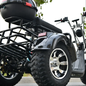 Tricycle 3000 W pour adultes avec garantie de 2 ans, idéal pour le golf, les trajets quotidiens et les déplacements légers hors route, capacité de charge de 250 kg 05 - Product Image 5