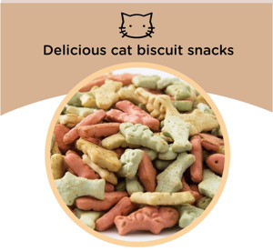 Organik OEM köpek kemik şekli bisküvi tavuk sığır lezzet bisküvi köpek Pet gıda köpek aperatifler için - Product Image 5