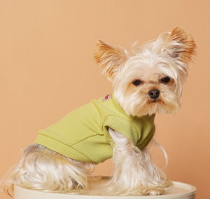 Custom Waffle Knit Pet Sweat Dafeel Premium Thermal <b>Puppy</b> Pajamas Wholesale Pet Apparel - Product Image 2
