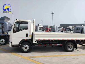 Truk Kargo Mini HOWO 10 Ton Diesel Van 4x2 Baru Single Row Euro 2 - Product Image 6