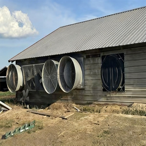 2026 In Promozione: Fienile Prefabbricato in Struttura d'Acciaio Leggera per Allevamento di Polli e Bestiame, Design Moderno, Casa Agricola con Telaio in Acciaio - Product Image 2
