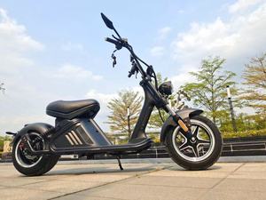 สกู๊ตเตอร์ไฟฟ้าใหม่จากคลังสินค้ายุโรป ได้รับการรับรองมาตรฐาน EEC <span class=keywords><strong>COC</strong></span> กำลังสูง Citycoco 3000W พร้อมจำหน่าย - Product Image 5