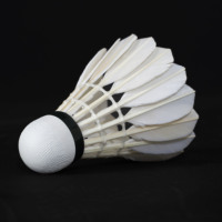 Volants de badminton professionnels à plumes d'oie, très demandés, pour joueurs de niveau avancé en club