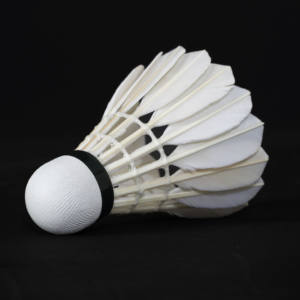 ريشة بدمنتون احترافية عالية الجودة من ريش الإوز للاعبين المتقدمين في النوادي - Product Image 2